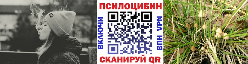 закладка блэк спрут ONION Псилоцибиновые грибы прущие грибы Орск